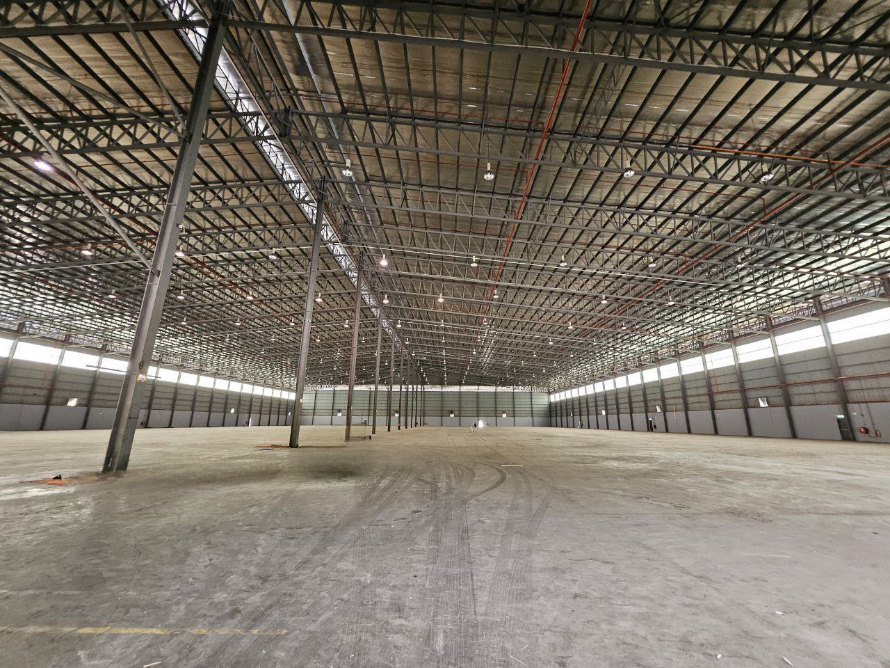 photo_2_2025-07-24_14-03-31